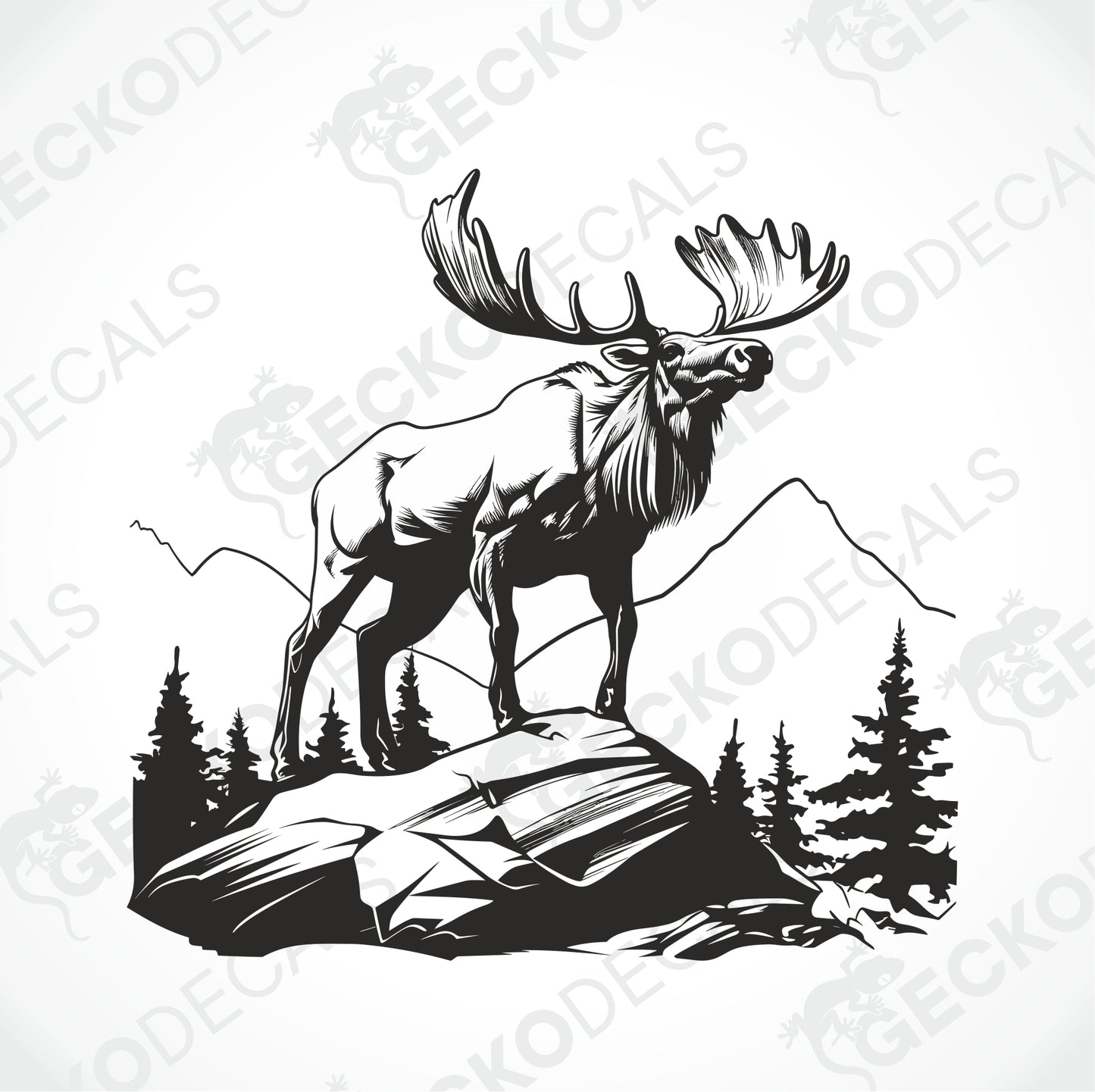 MOOSE ON THE ROCK