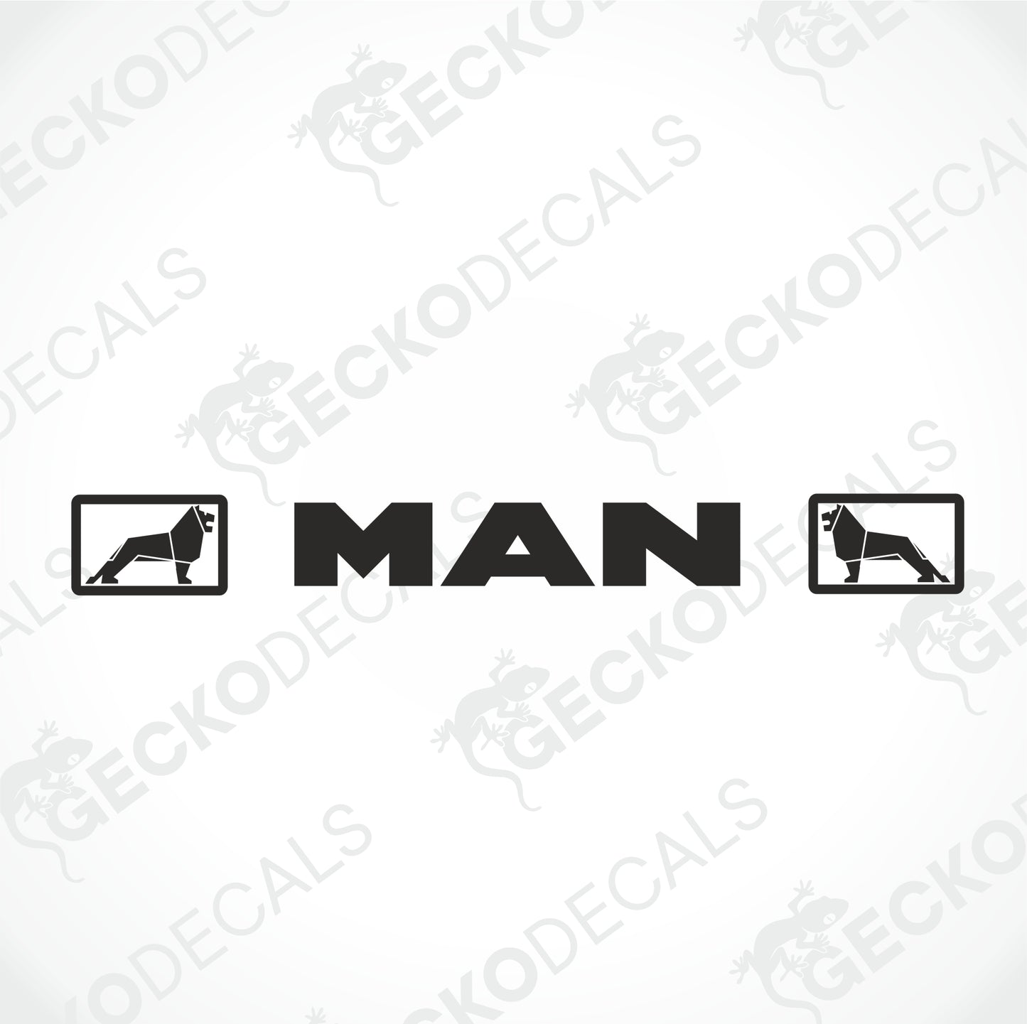 MAN WINDSCREEN