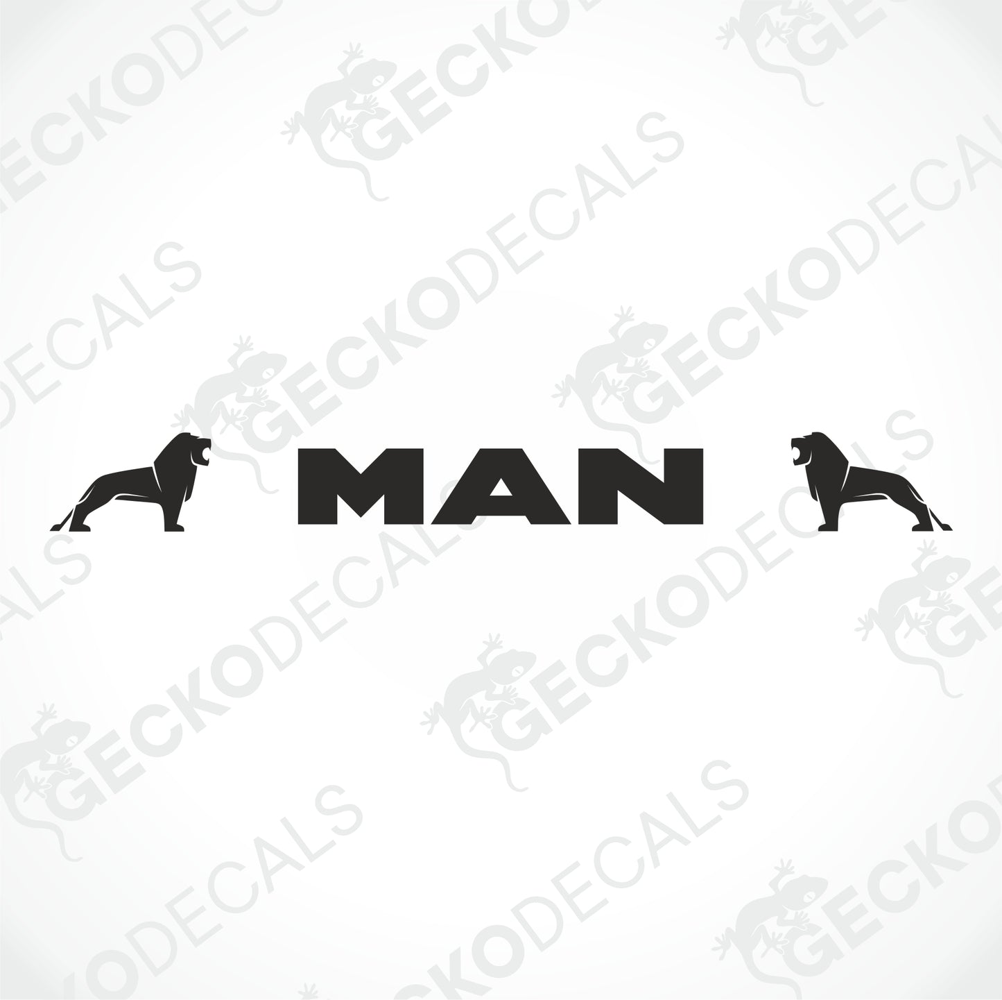MAN WINDSCREEN