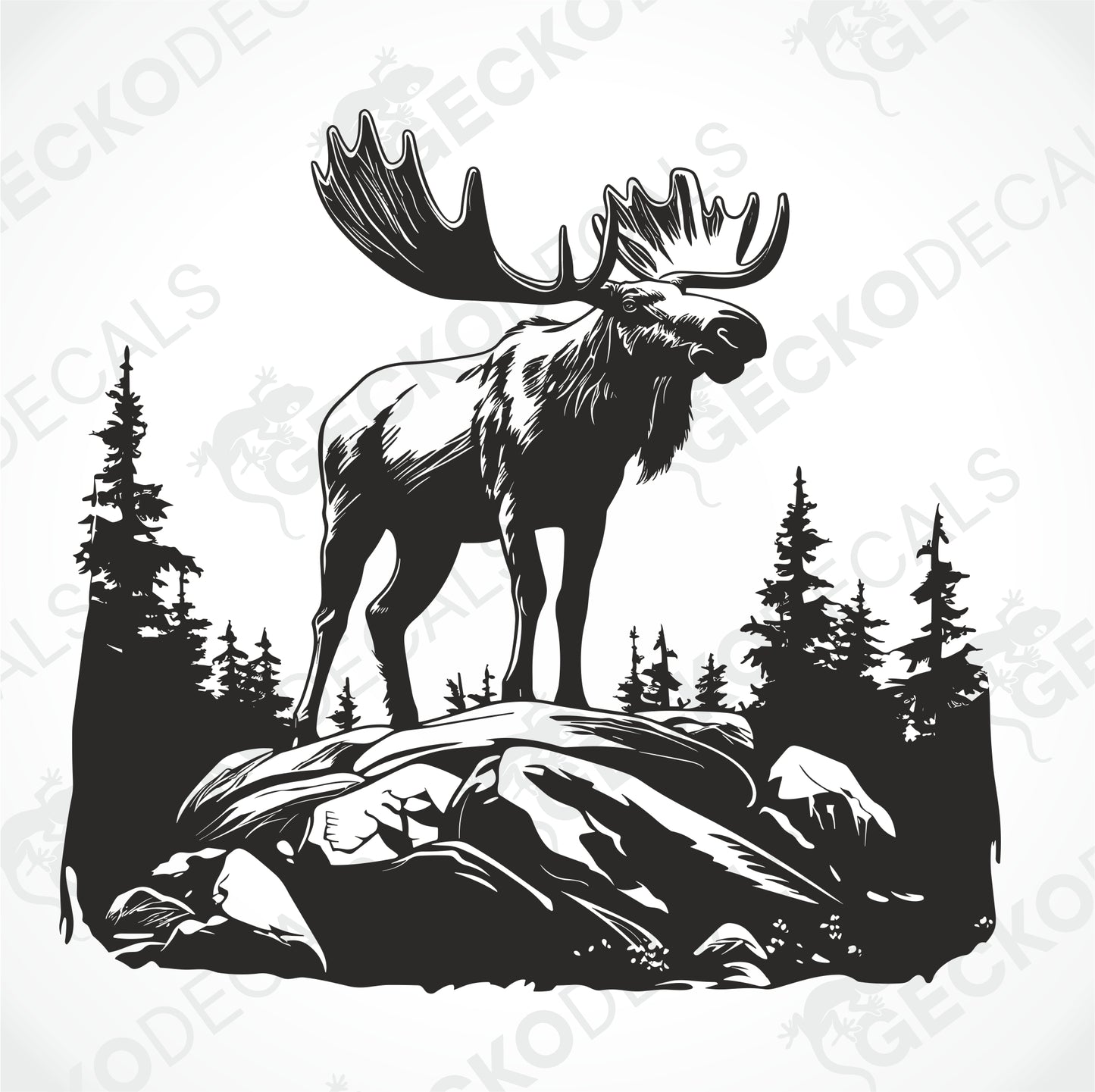 MOOSE ON THE ROCK