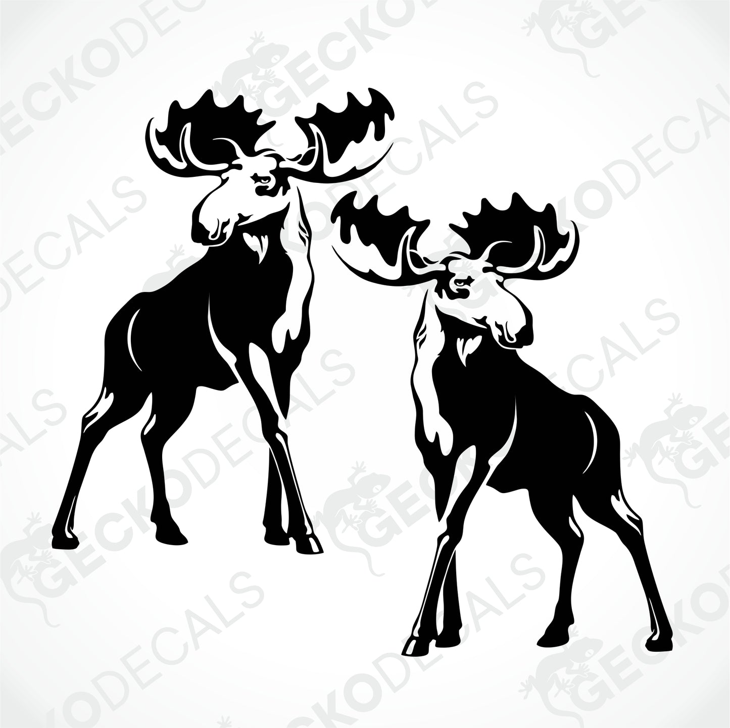 MOOSES DECALS