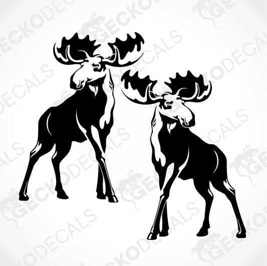 MOOSES DECALS