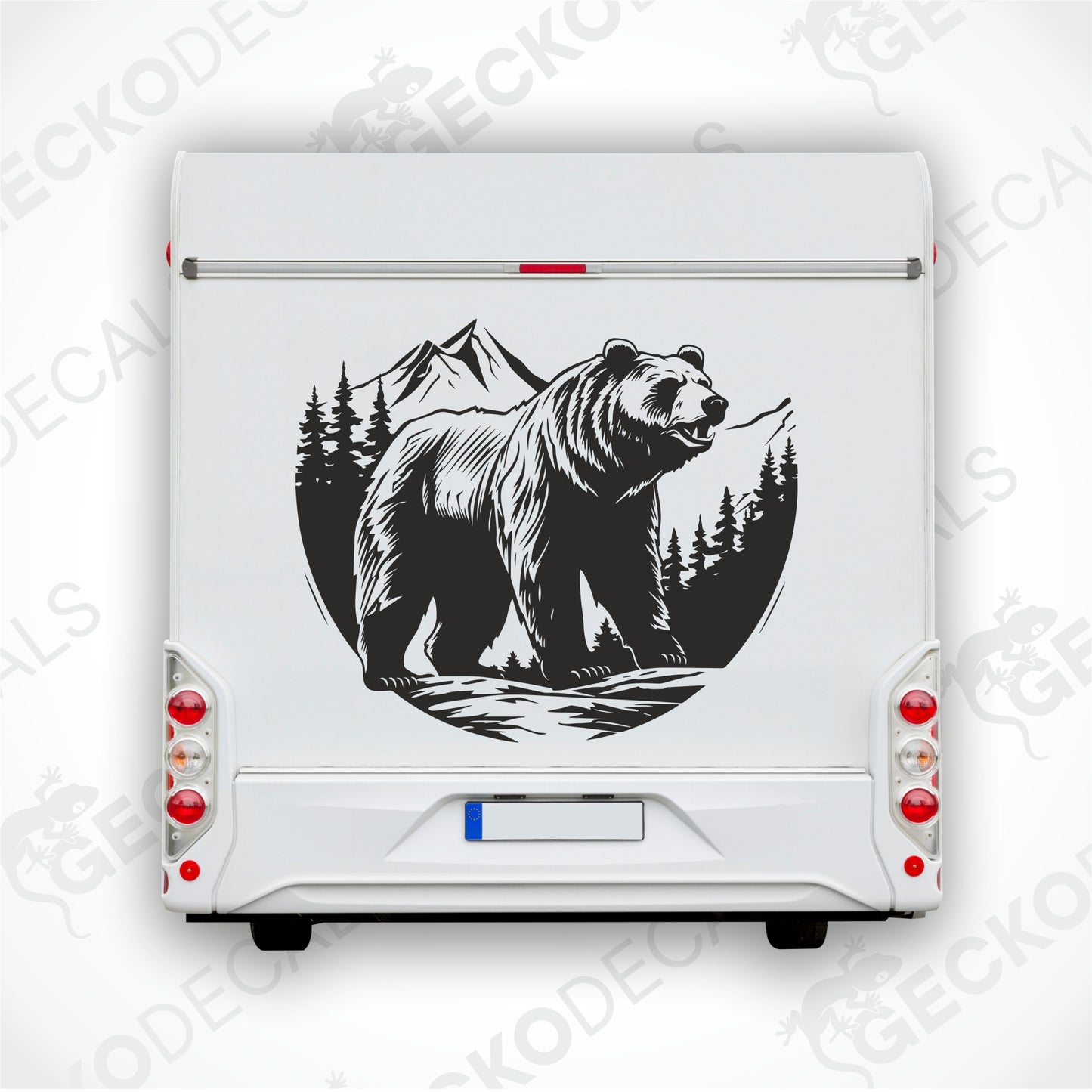A BEAR IN THE MOUNTAIN NATURE