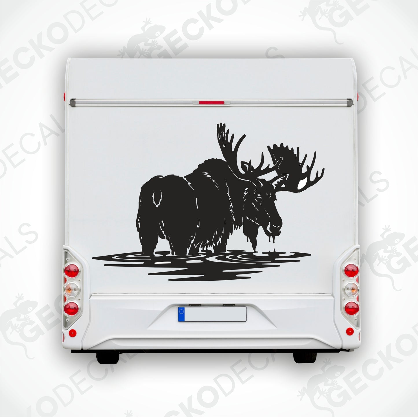 MOOSE IN THE WATER