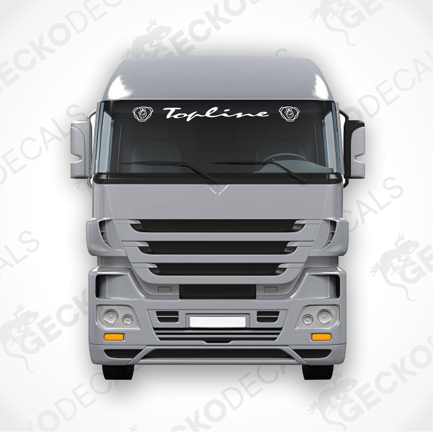 SCANIA TOPLINE WINDSCREEN