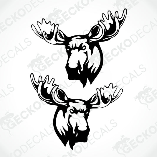 MOOSES DECALS