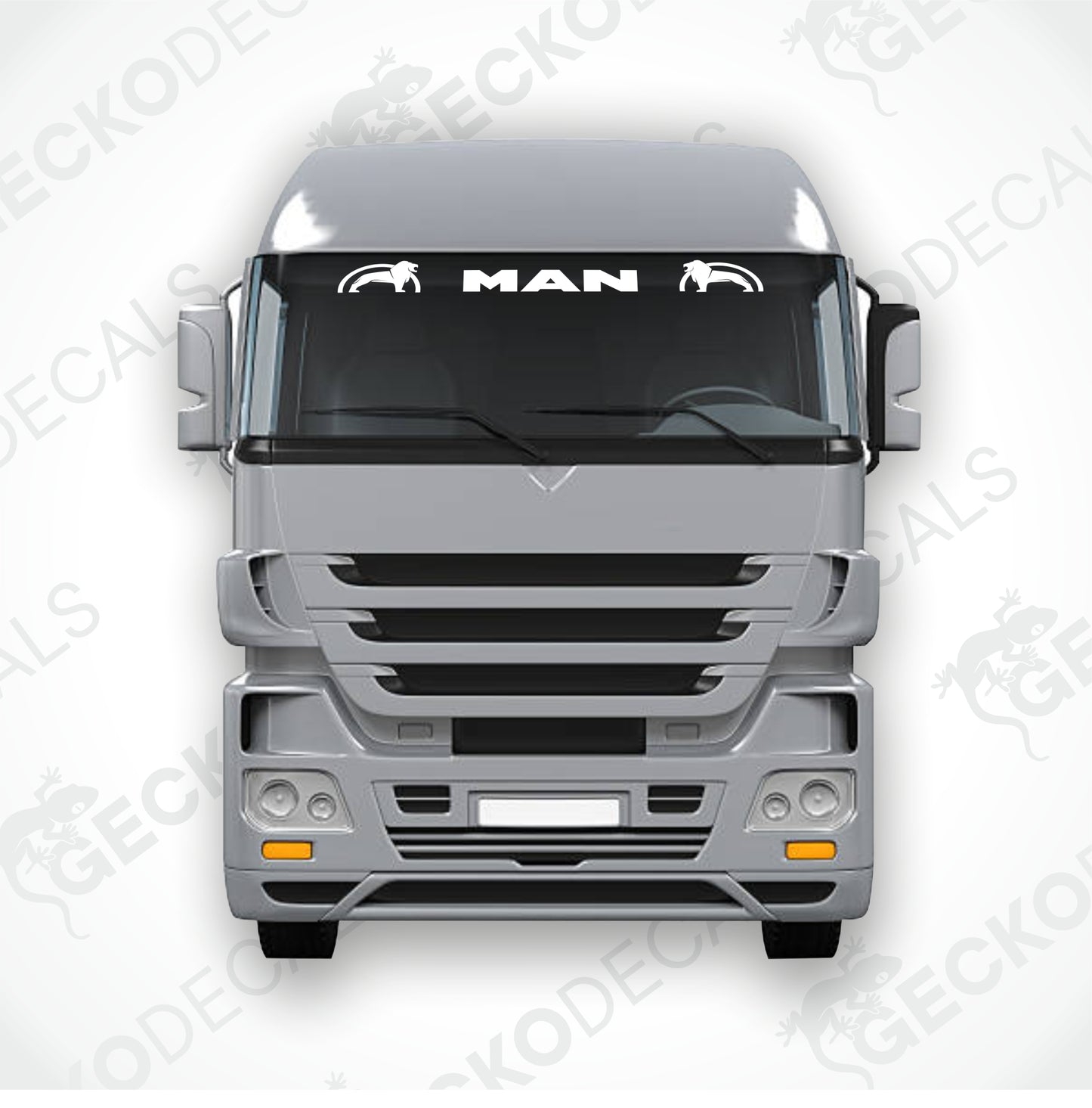 MAN WINDSCREEN