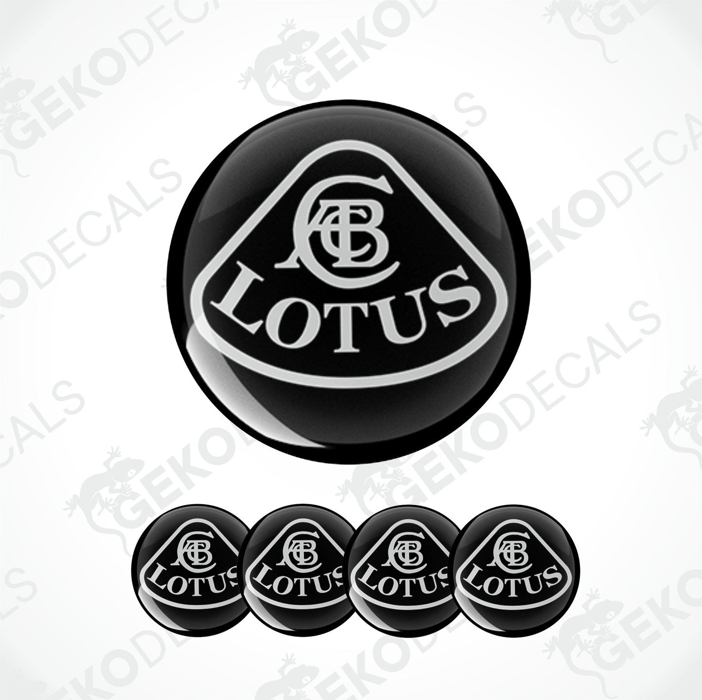 LOTUS