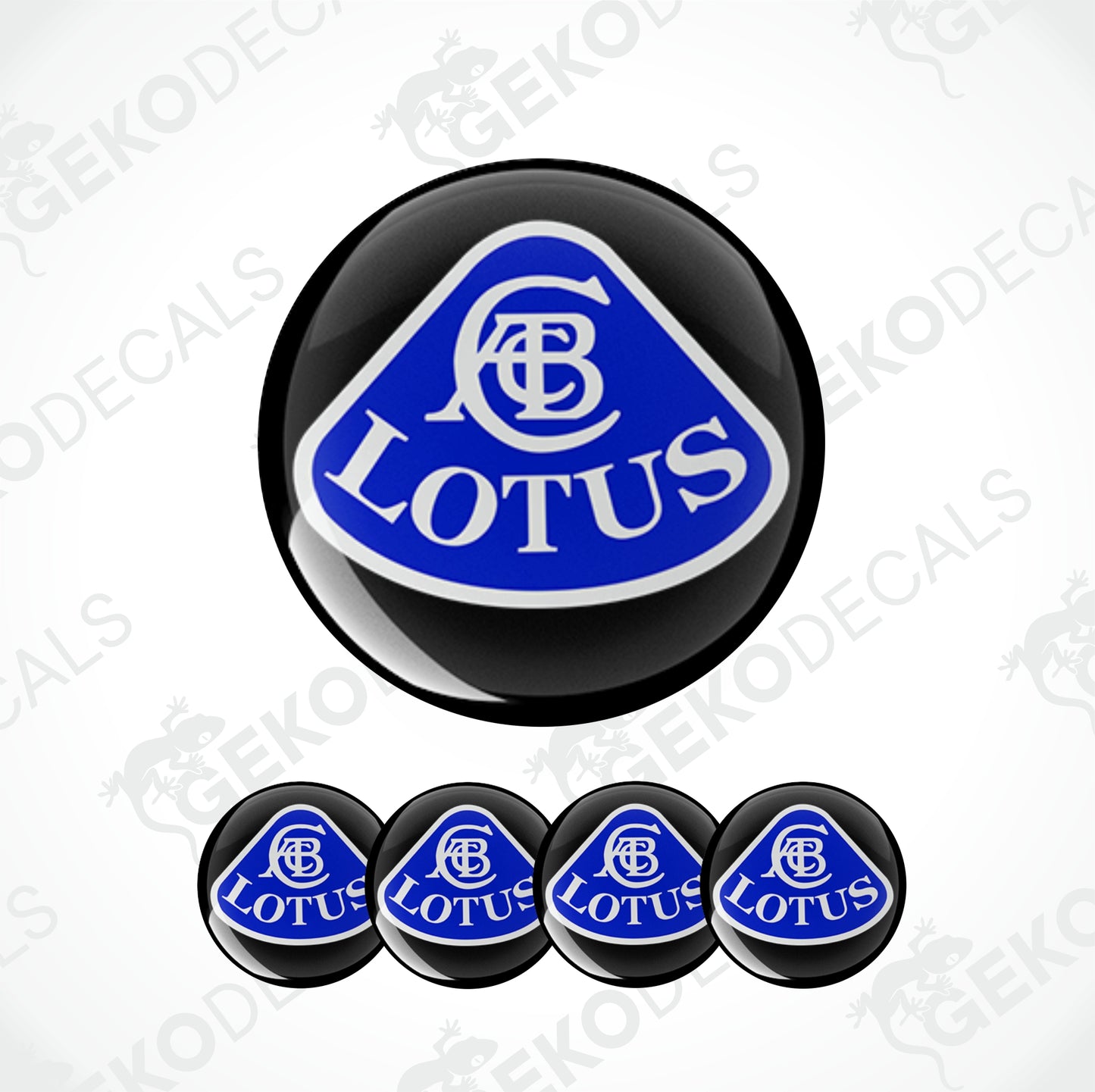LOTUS