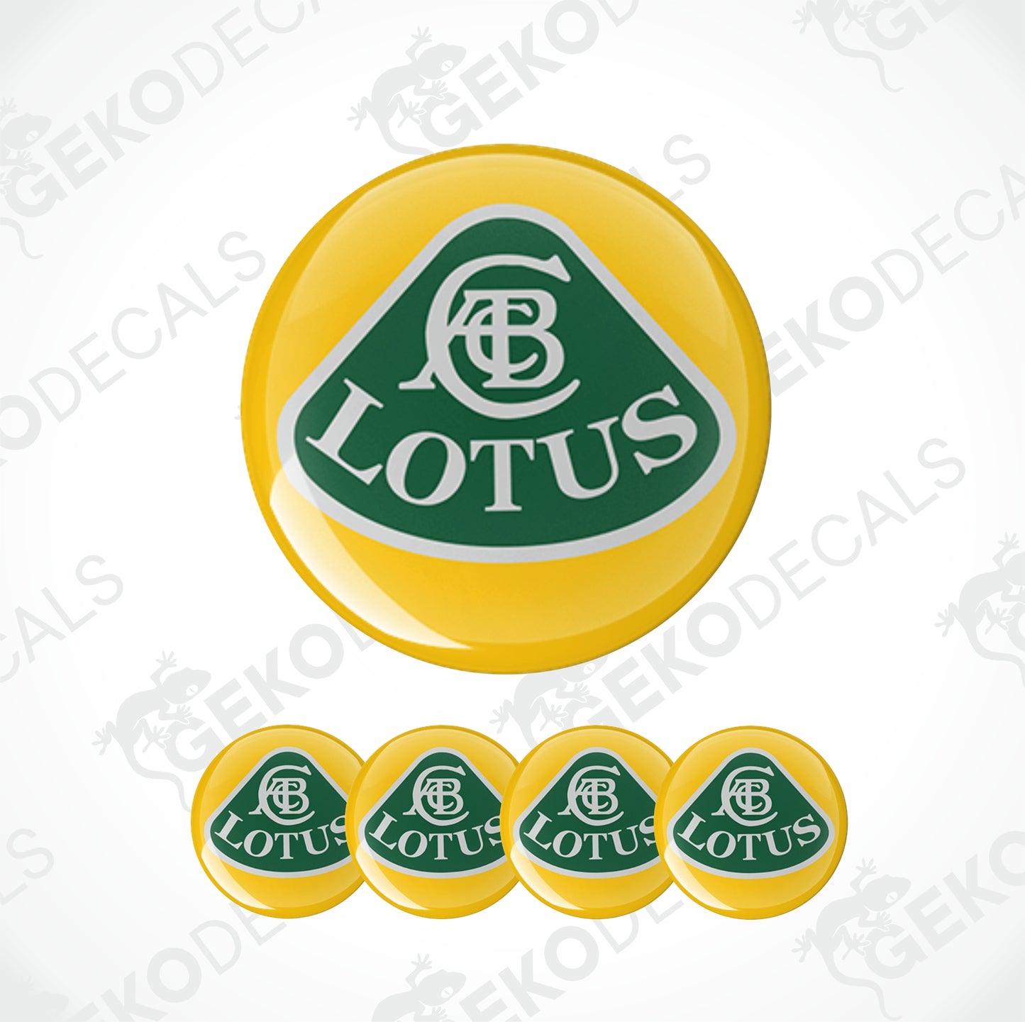 LOTUS