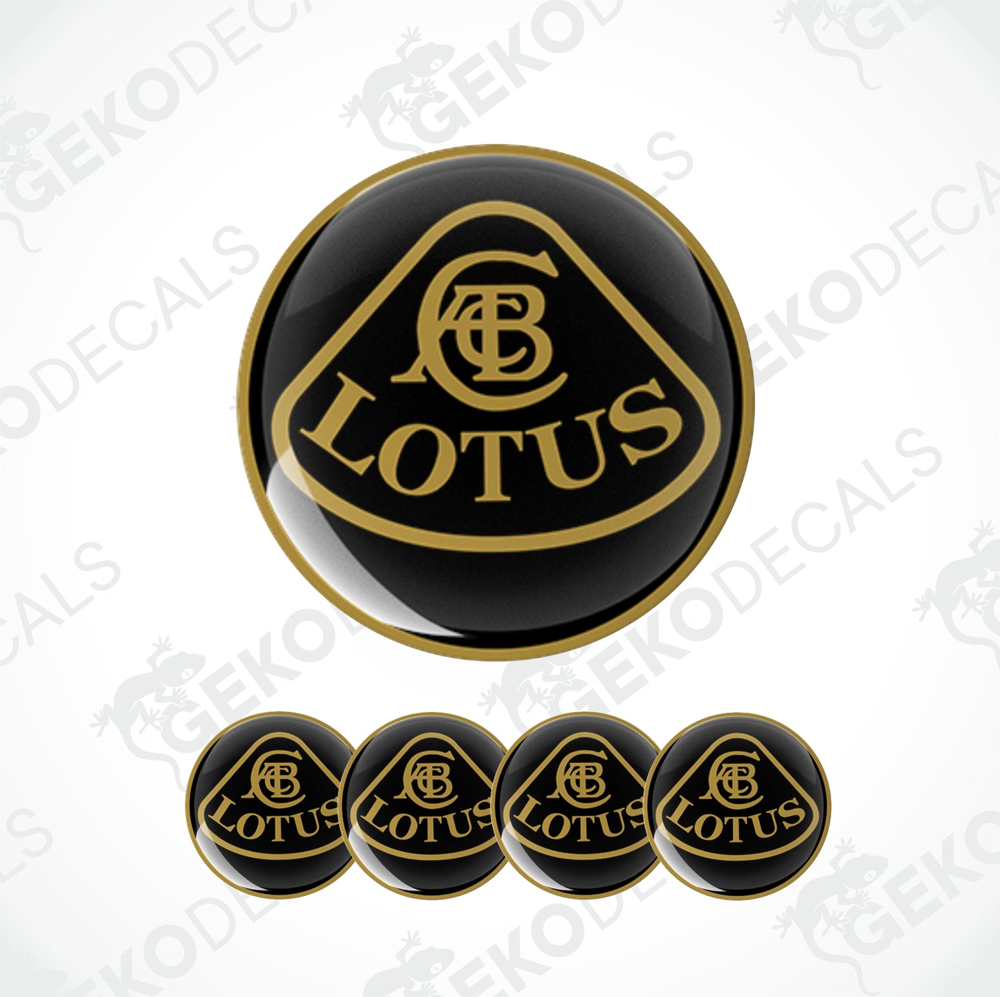 LOTUS