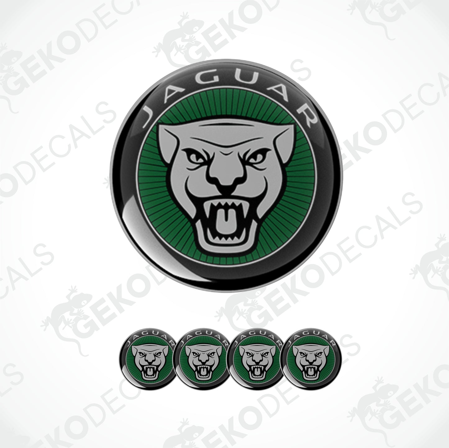 JAGUAR