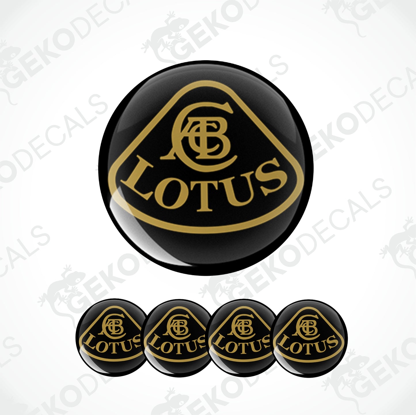 LOTUS
