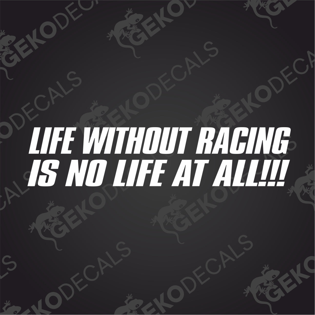 LIFE WITHOUT RACING IS NO LIFE AT ALL!!!