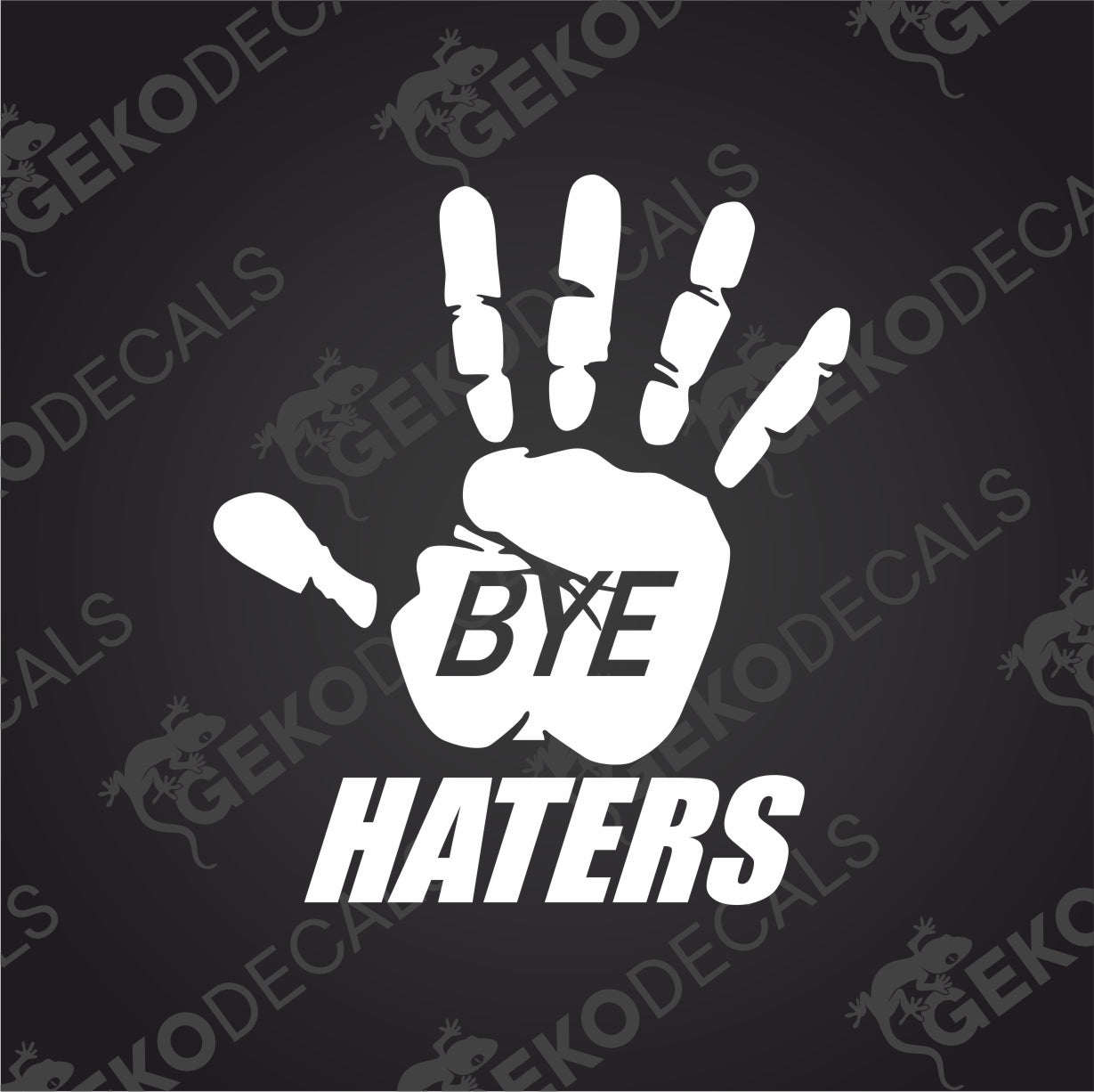 BYE HATERS