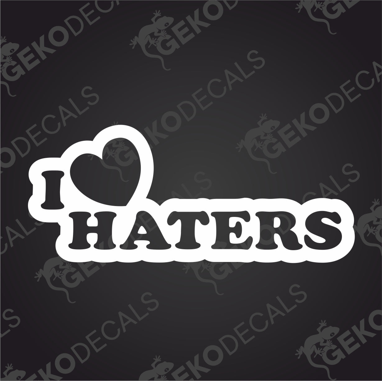 I LOVE HATERS