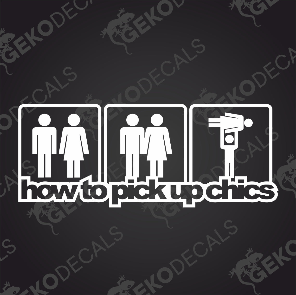 HOW TO PICK UP CHICS